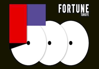 Fortune 500 Zirve