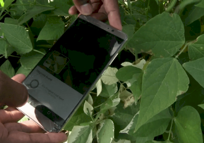 AI helps farmers AI helps farmers